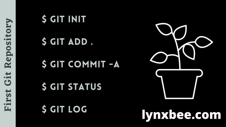 First git repository