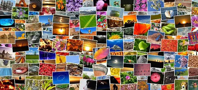 Pixabay