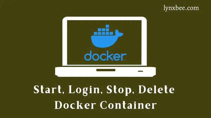 Docker Run Delete After Stop