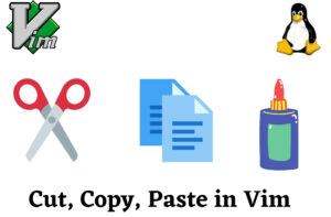 Copy Paste Vim