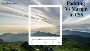 padding vs margin