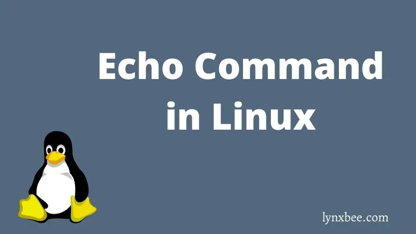 the-echo-command-in-linux-lynxbee